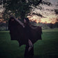 A black lightweight bat wing shaped cape. This photo is in the sunset with the cape being held up in the light by the finger loops to  showcase the bat wing hem.