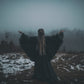 Isabella Robe