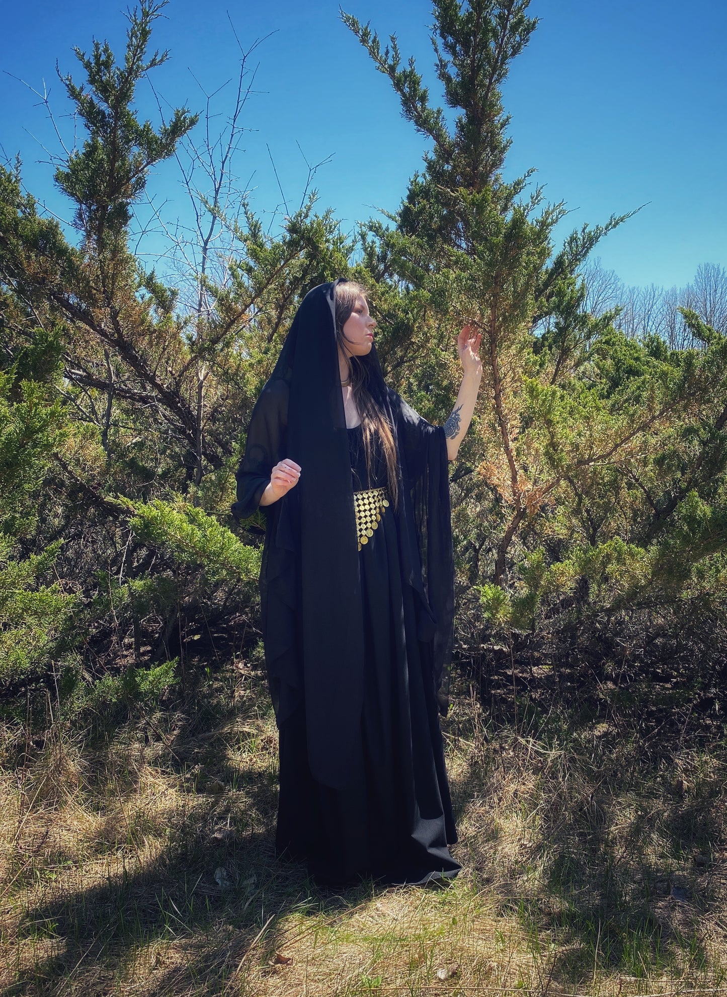 Priestess Veil